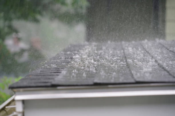 Best Solar Panel Roofing Installation  in St Augustine South, FL